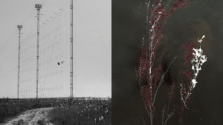After Nature Prize 26