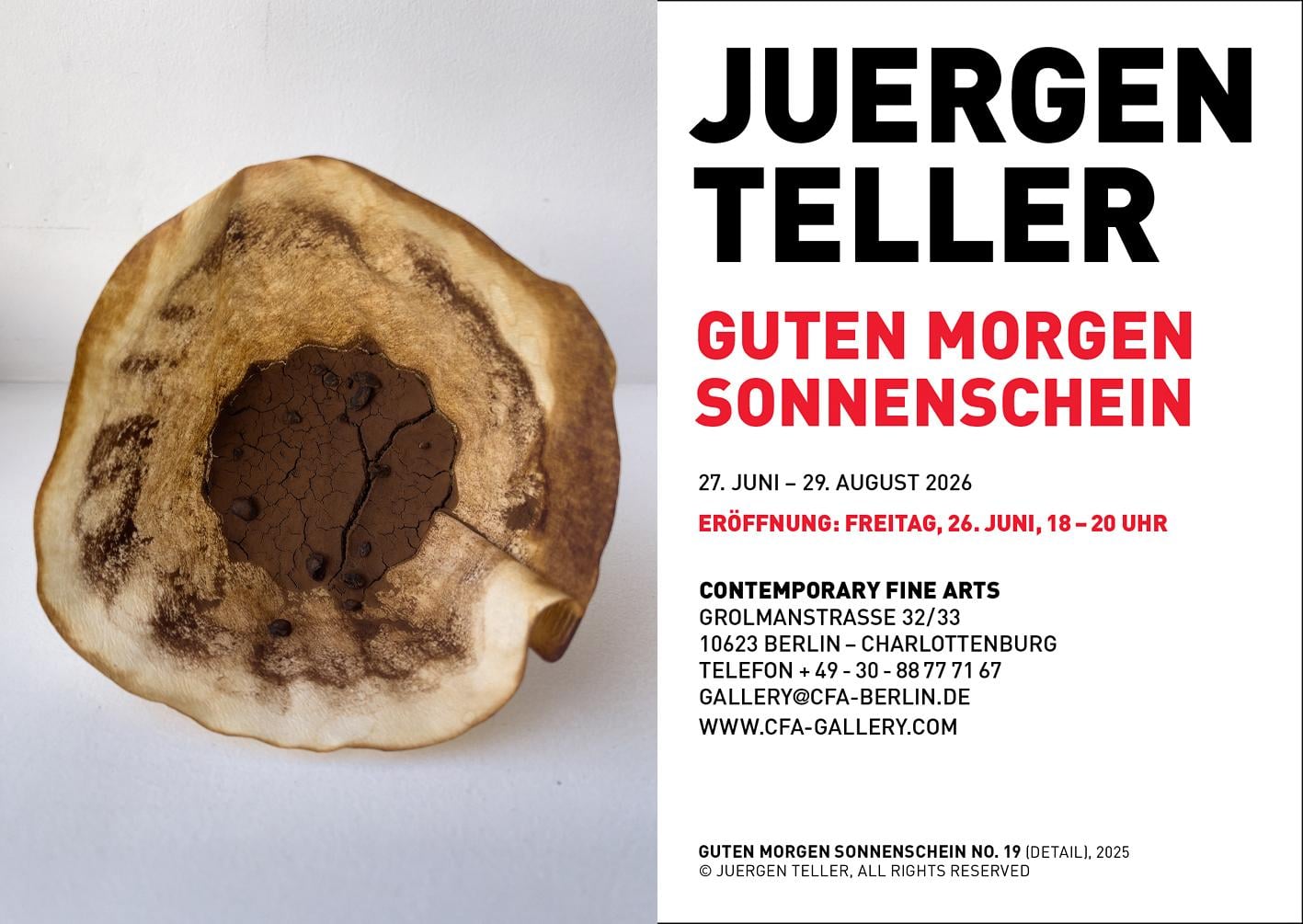 Guten Morgen Sonnenschein