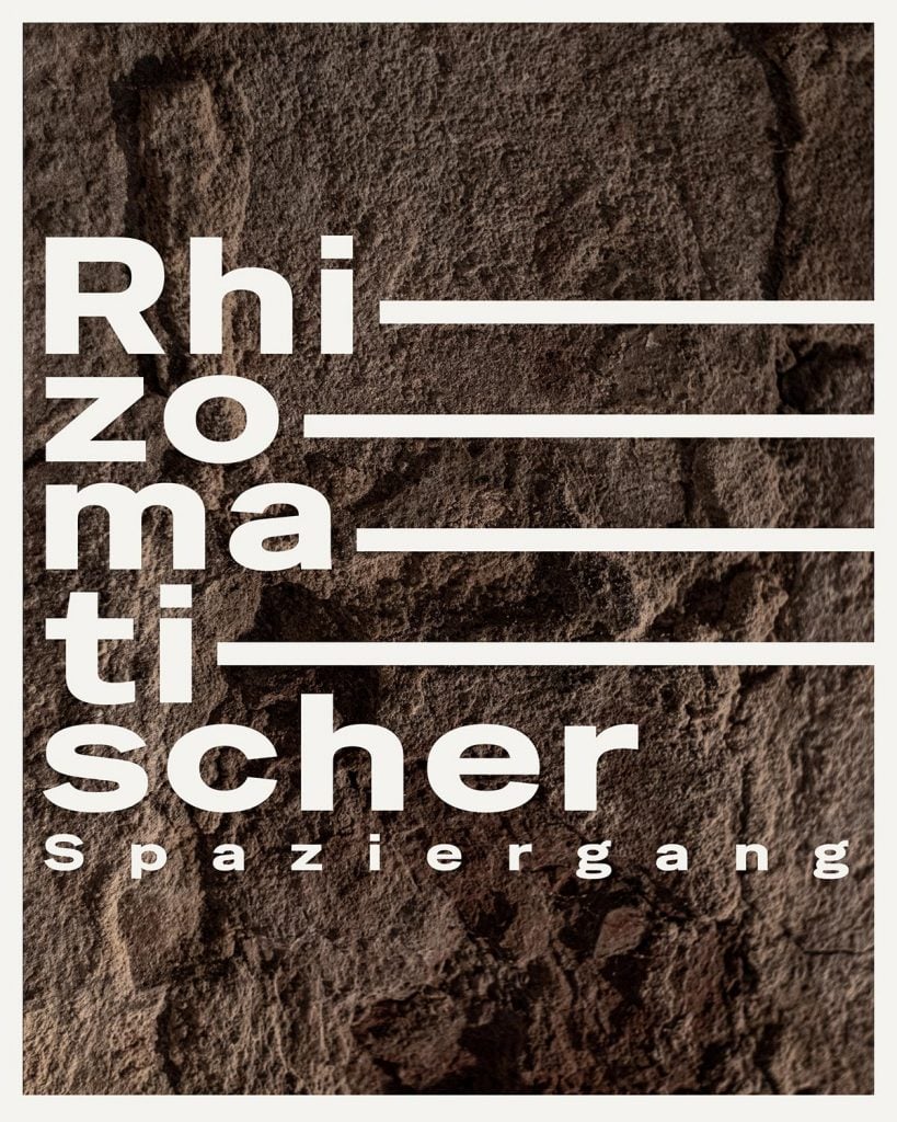 Julien Paccard – Rhizomatischer Spaziergang