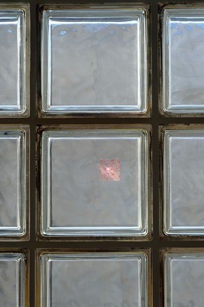Rei Naito – Face (the joys were greater)