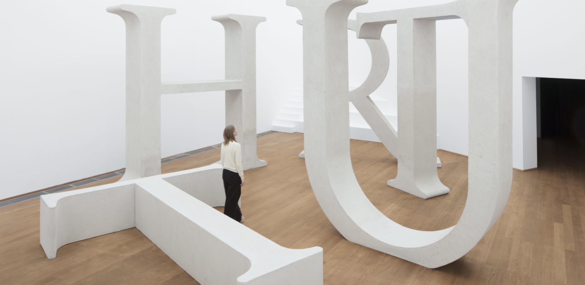 Shilpa Gupta. What Still Holds