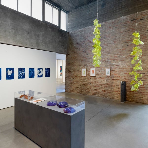 TUE GREENFORT | WUNDERKAMMER