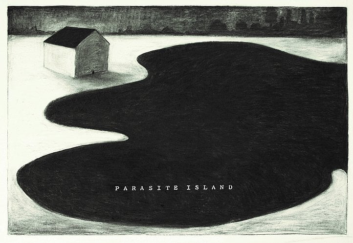 Parasite Island. Herbert Nauderer