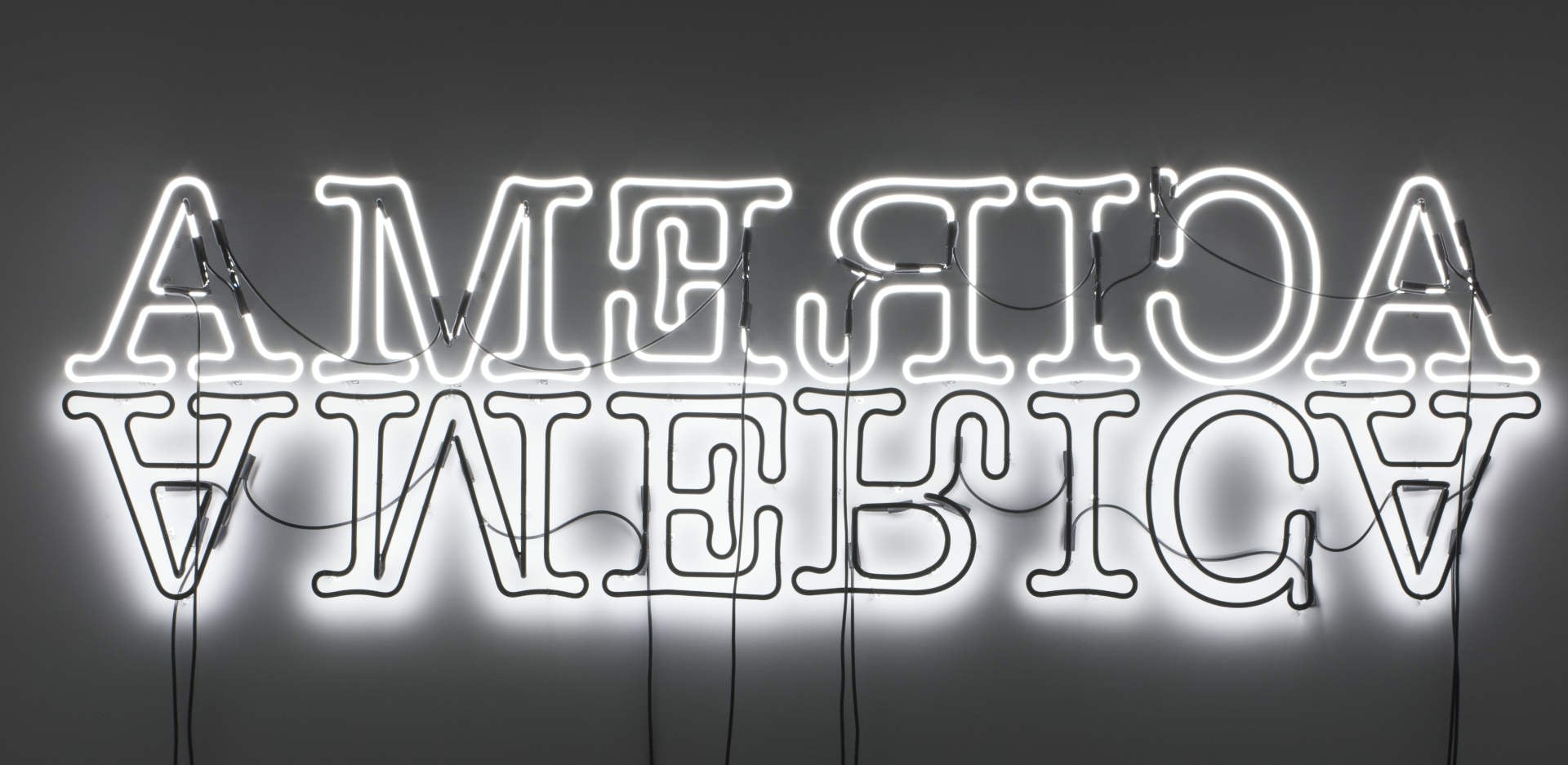 Glenn Ligon: Double America - Image 1