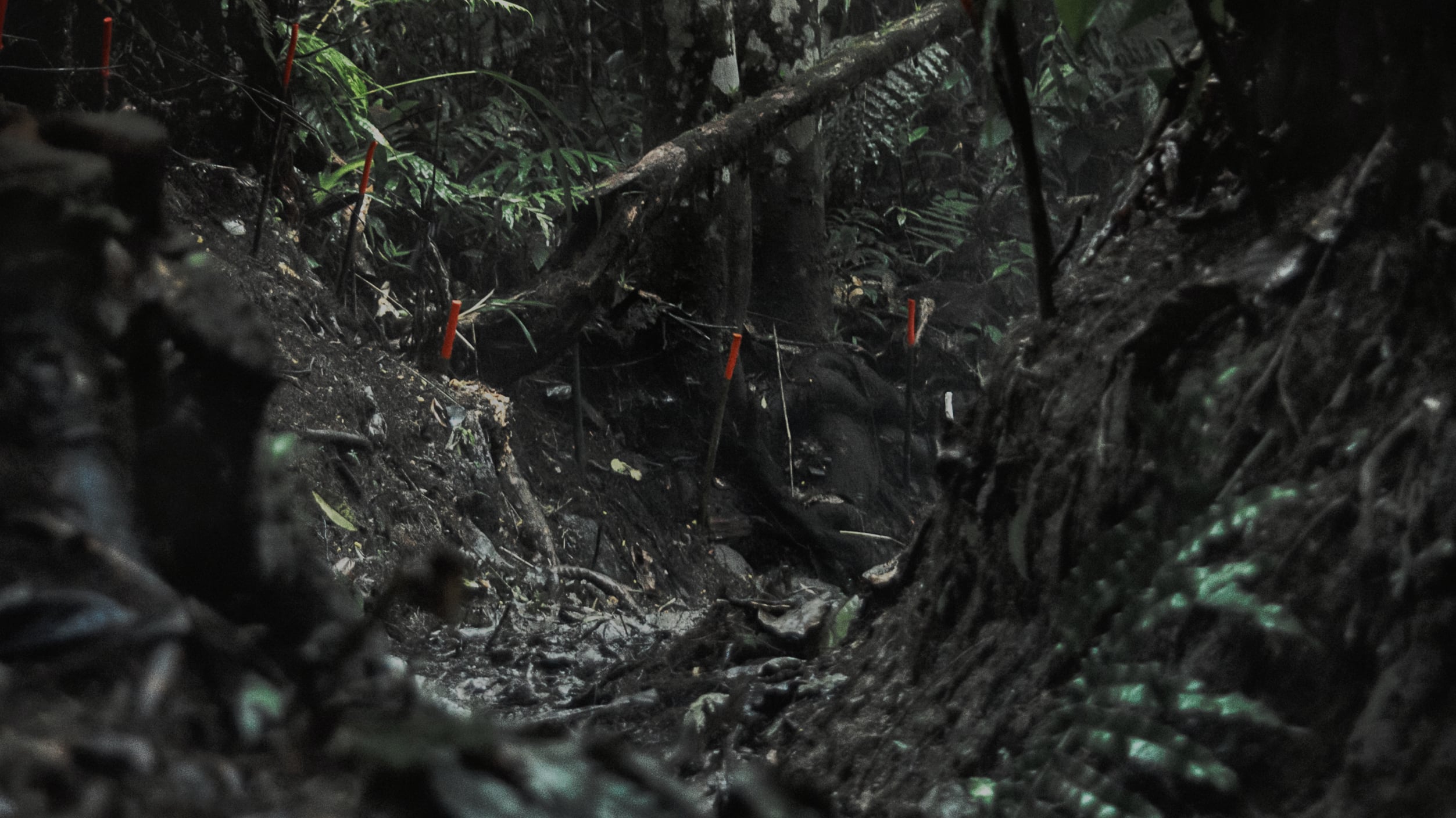 Alice Miceli: Impenetrable Landscapes; Chronicles of Annihilation