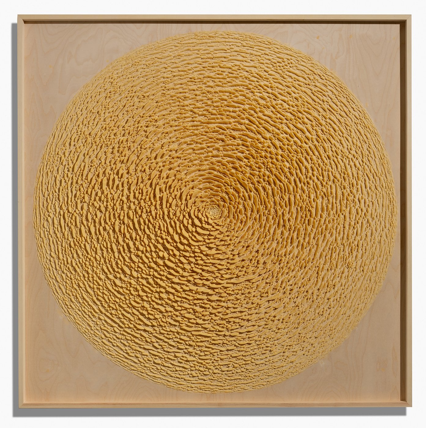 Martin Kline: Fields of Capture
