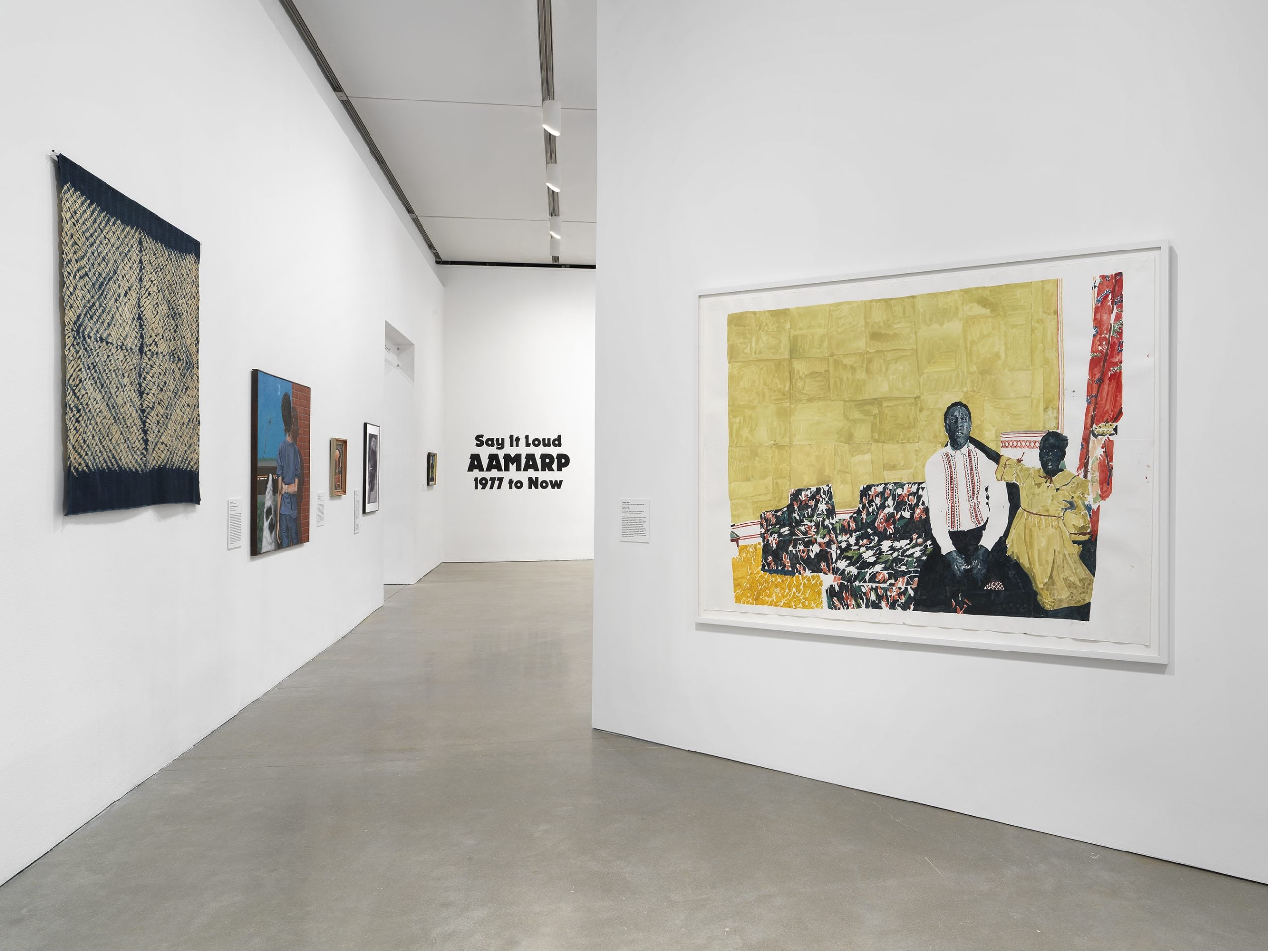 Say It Loud: AAMARP, 1977 to Now