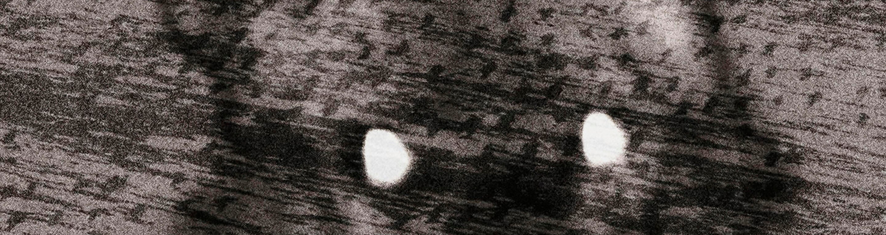 Michal Rovner: Untitled/Night, 2016 - Image 1
