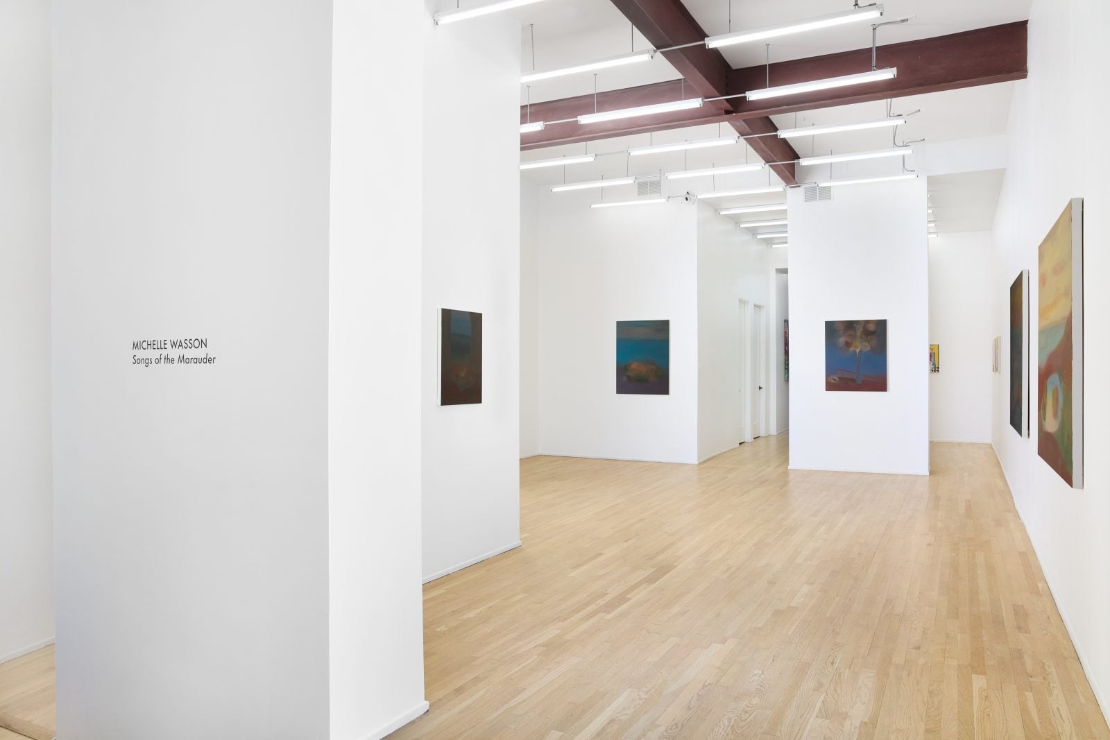 Michelle Wasson: Songs of the Marauder