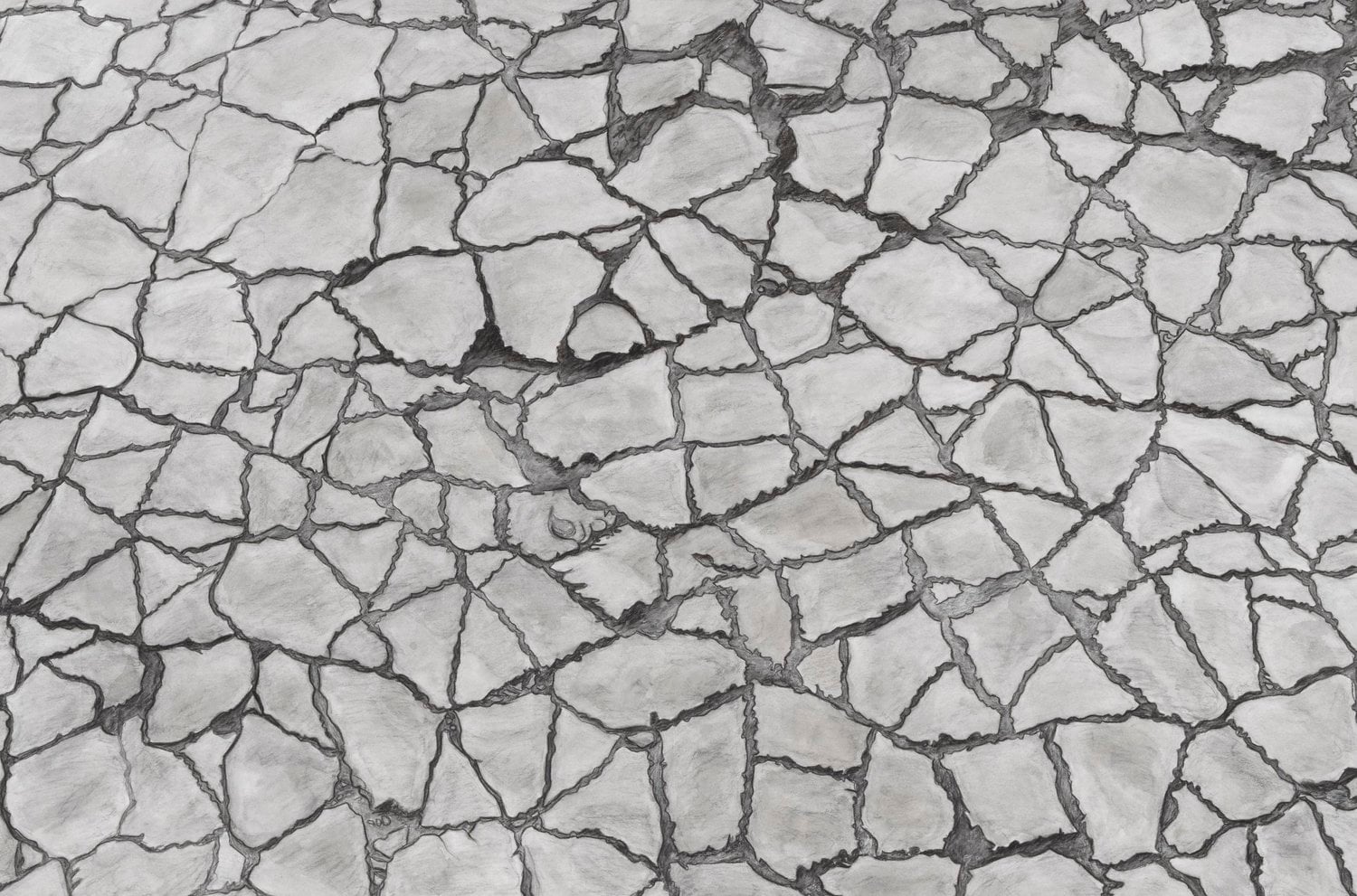 Cait Hardie: Meander