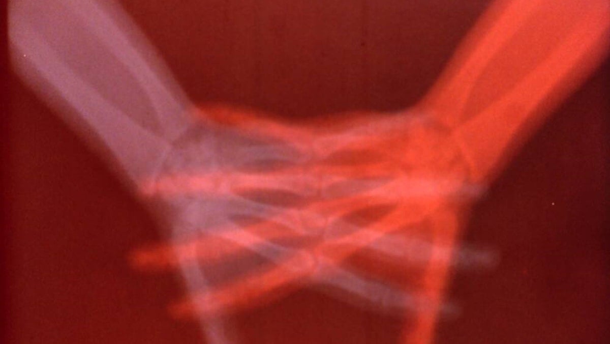 Barbara Hammer: Sanctus