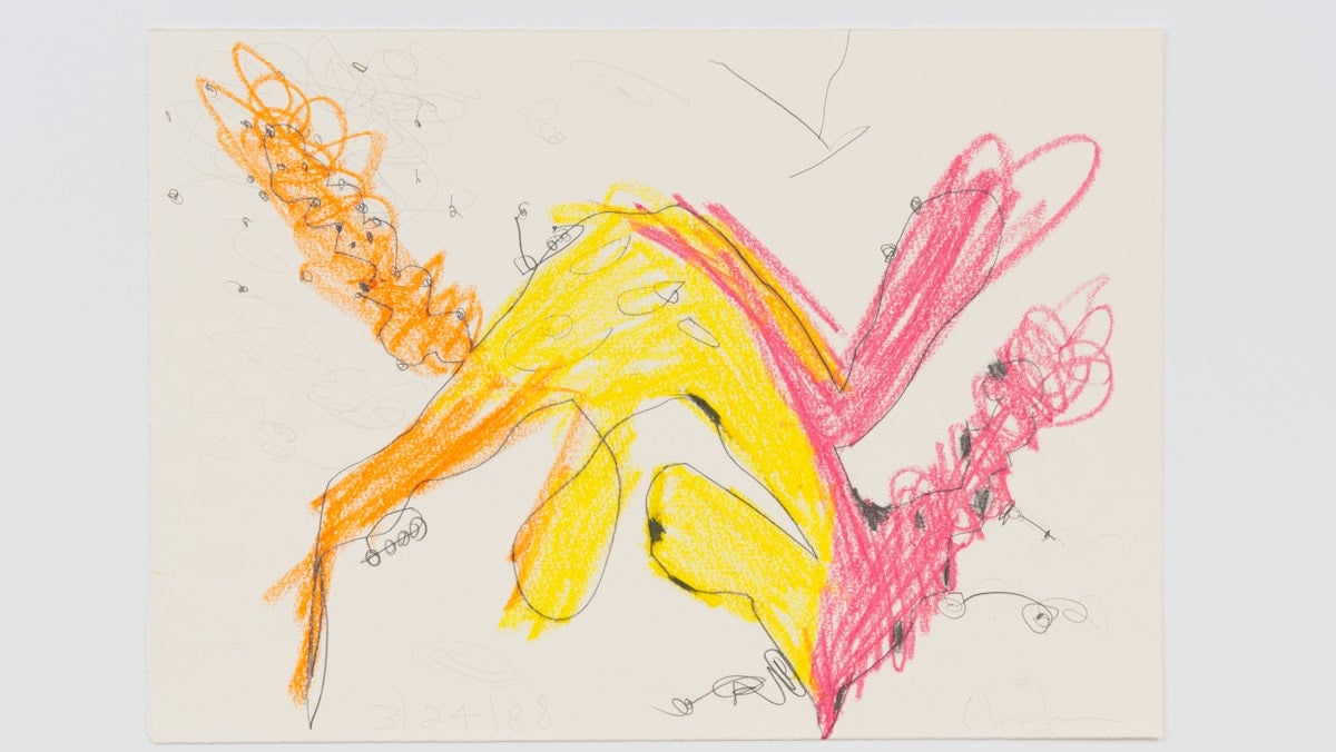 Carroll Dunham: Drawings, 1974–2024