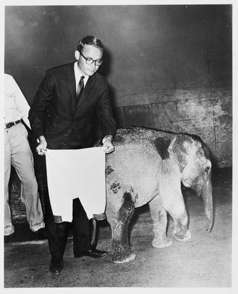 Alan Abel Hoax