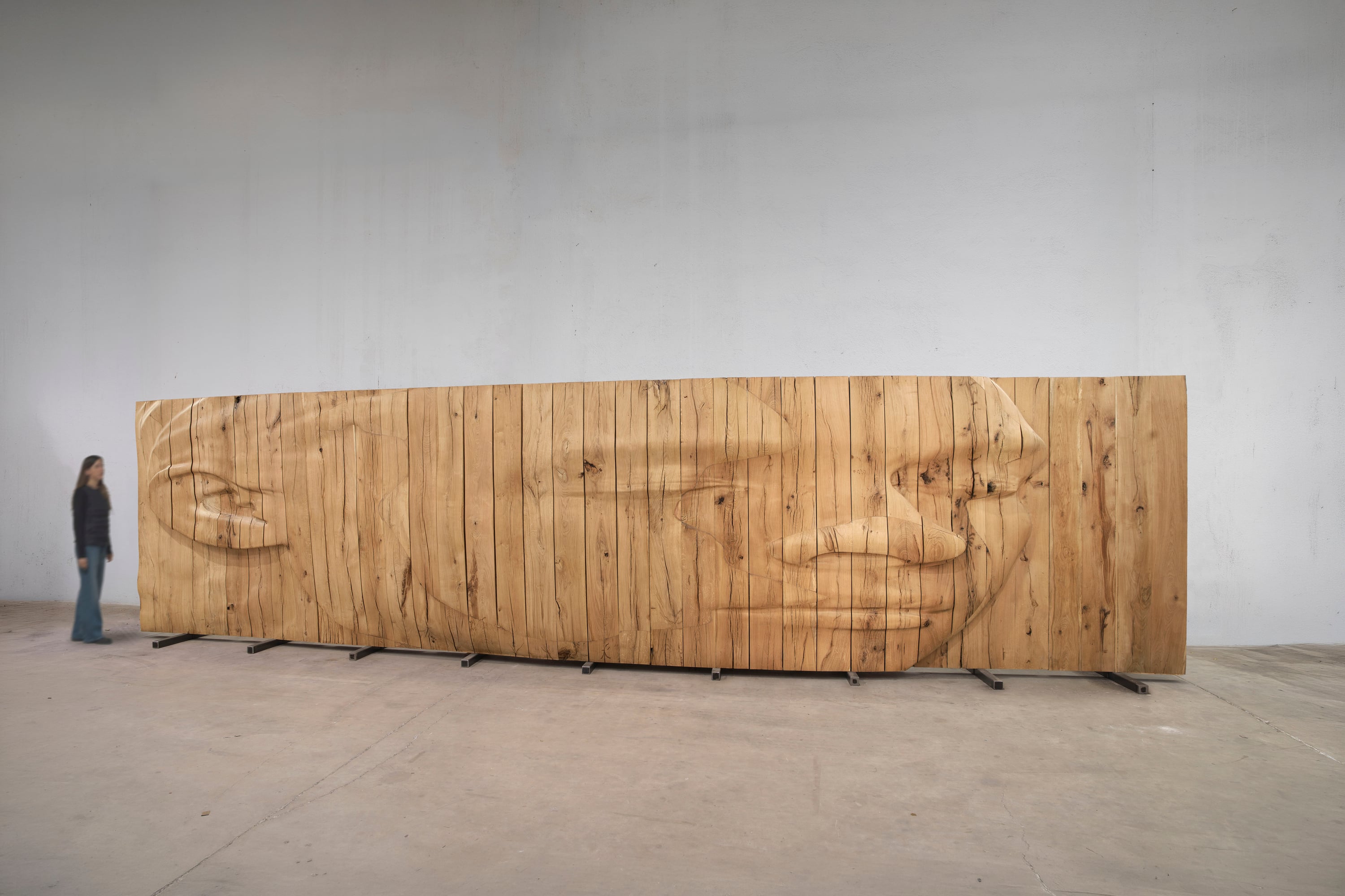 Jaume Plensa - Beyond Silence