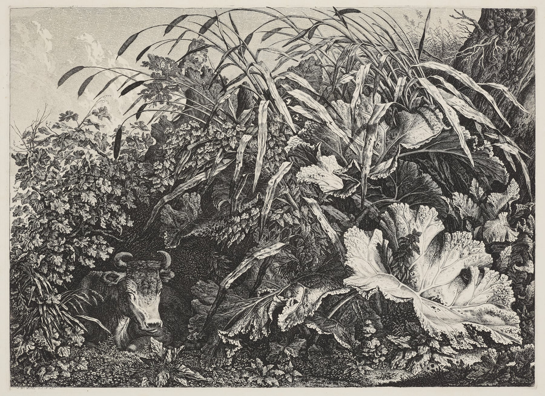Seeking Revelation: German Romantic Prints and Drawings
