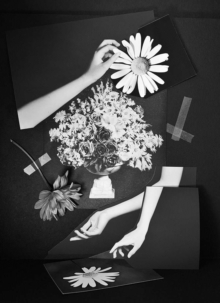 Alexa Frangos: (Re)arranging