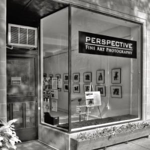 Perspective Group and Photography Gallery