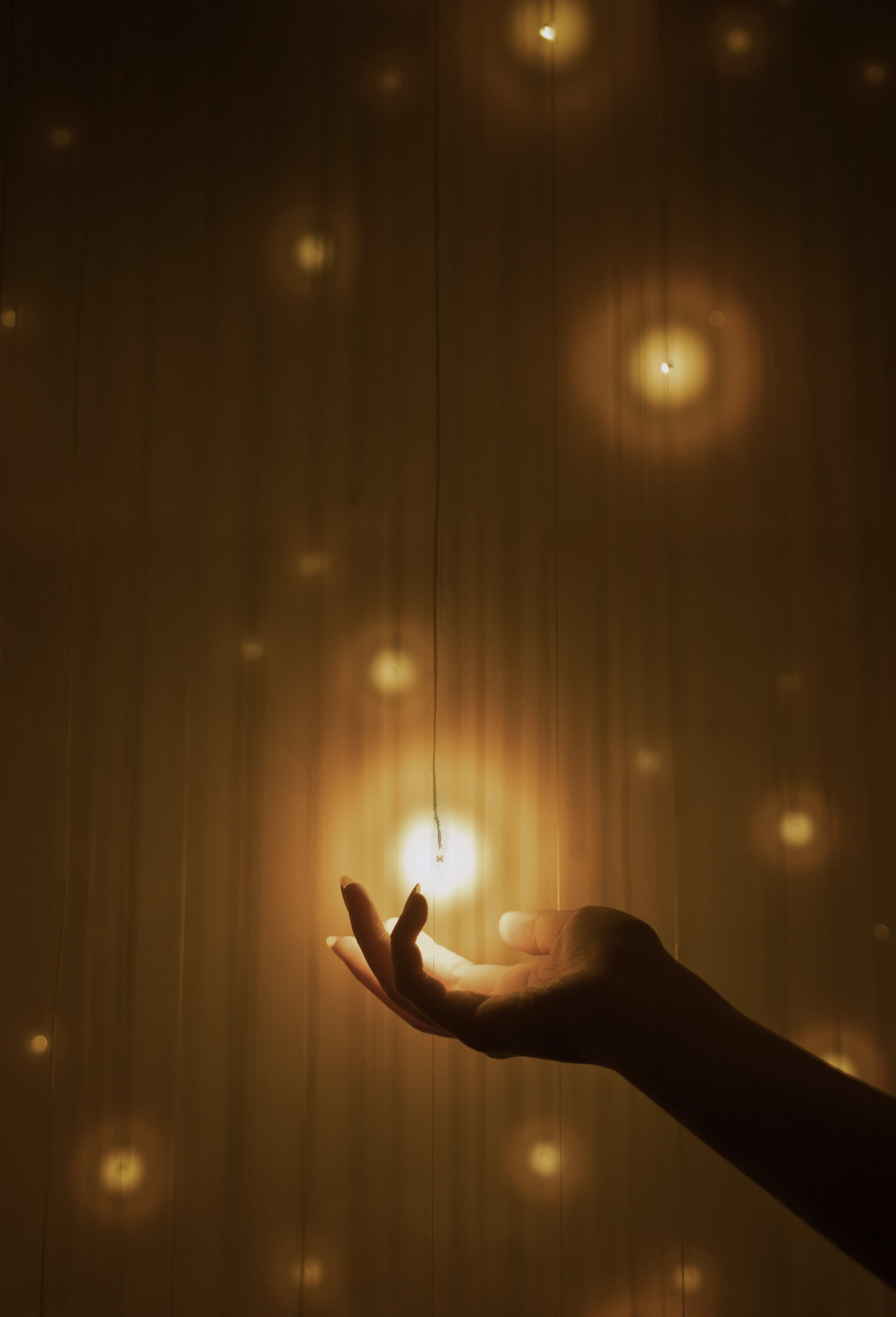teamLab: Everything Exists in Infinite Continuity
