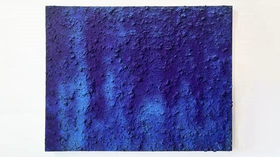 Una Vuelta a Mis Raíces (A Return to My Roots): Monochromatic Pigment Paintings by Robert Lipton
