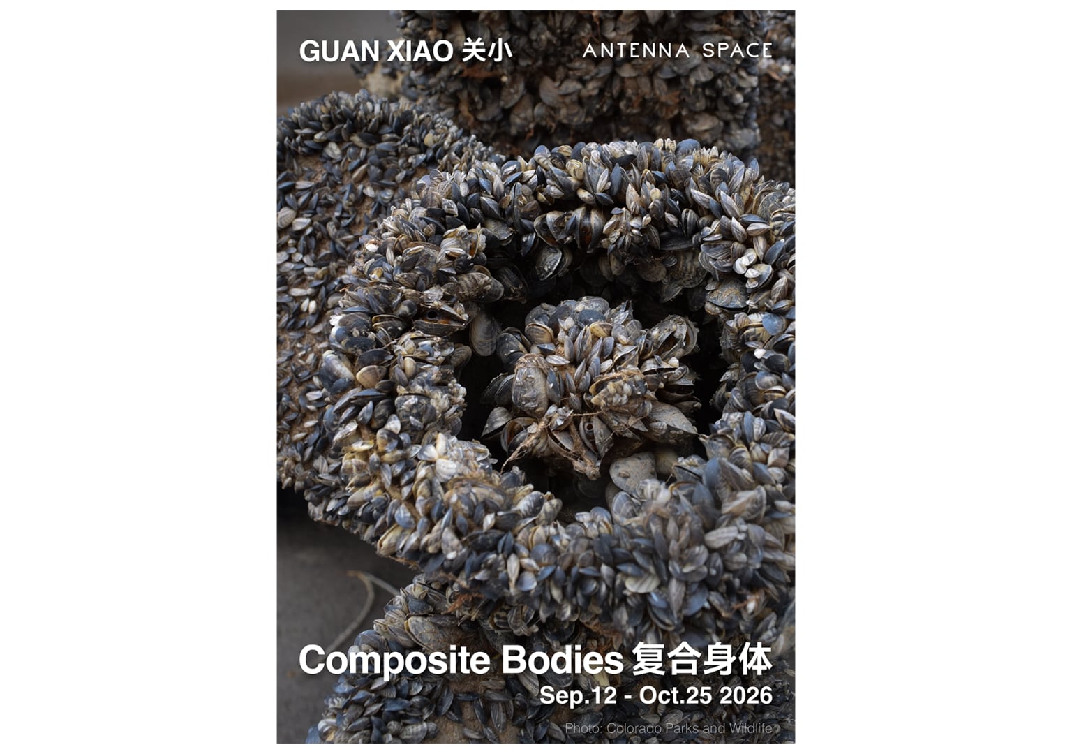Guan Xiao: Composite Bodies