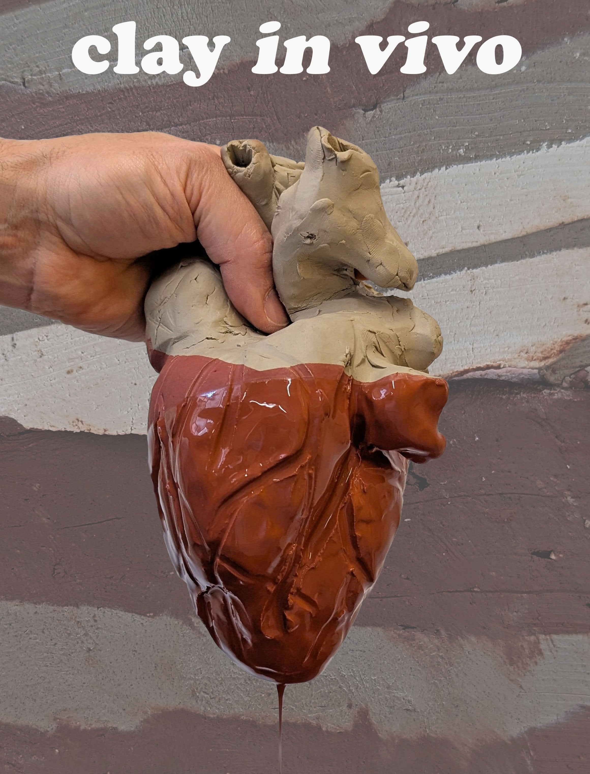 Clay in vivo