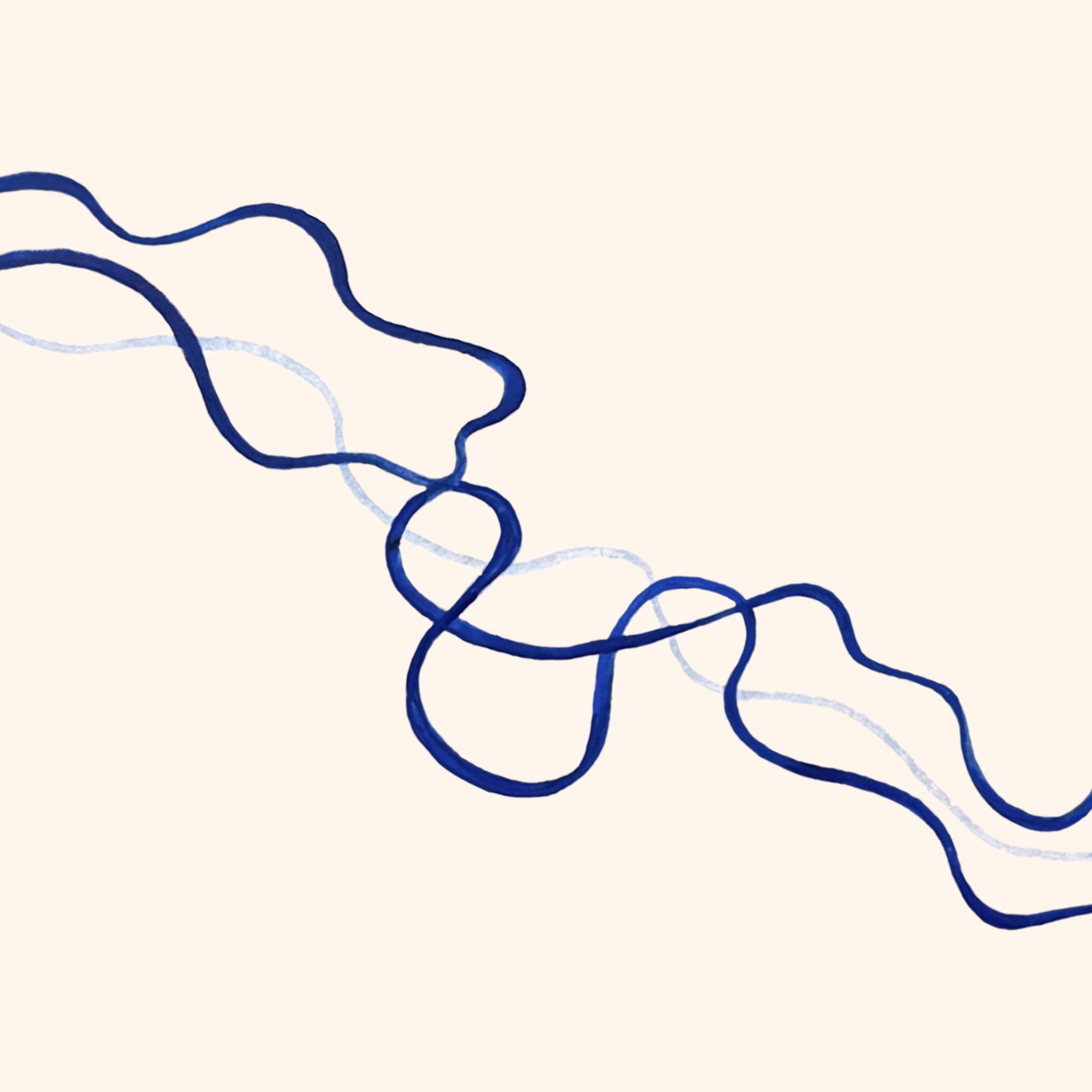 The Paper Path, 紙の道 - Journeys in Japanese Washi