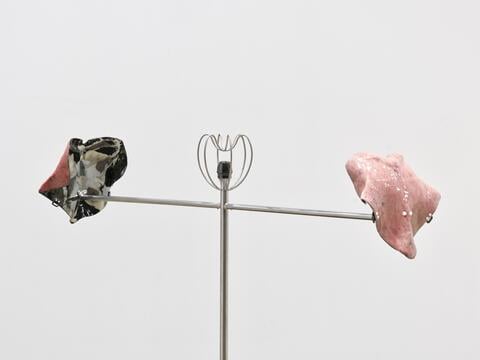 Julia Phillips: Inside, Before They Speak