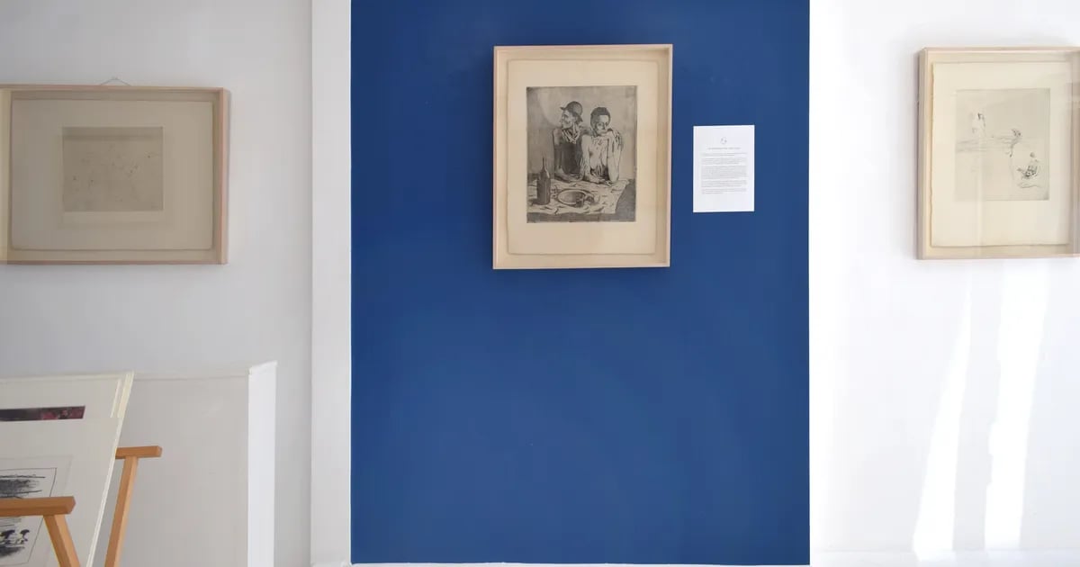 La suite des saltimbanques: Complete Set of Original Etchings and Drypoints Saltimbanque Suite
