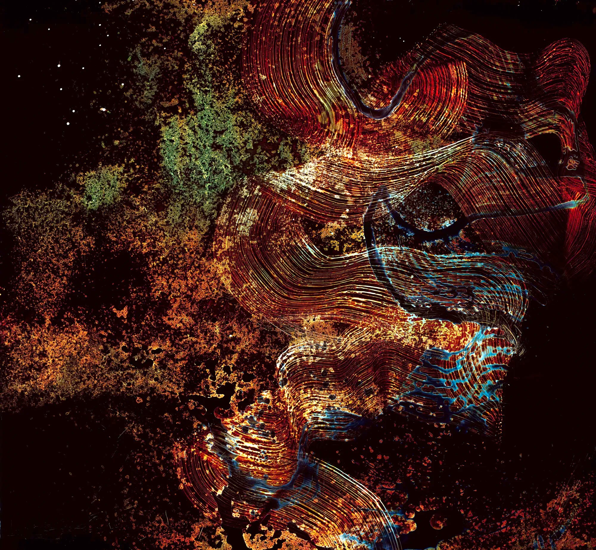 Co-Authored Terrains: Demi Danka - Image 1