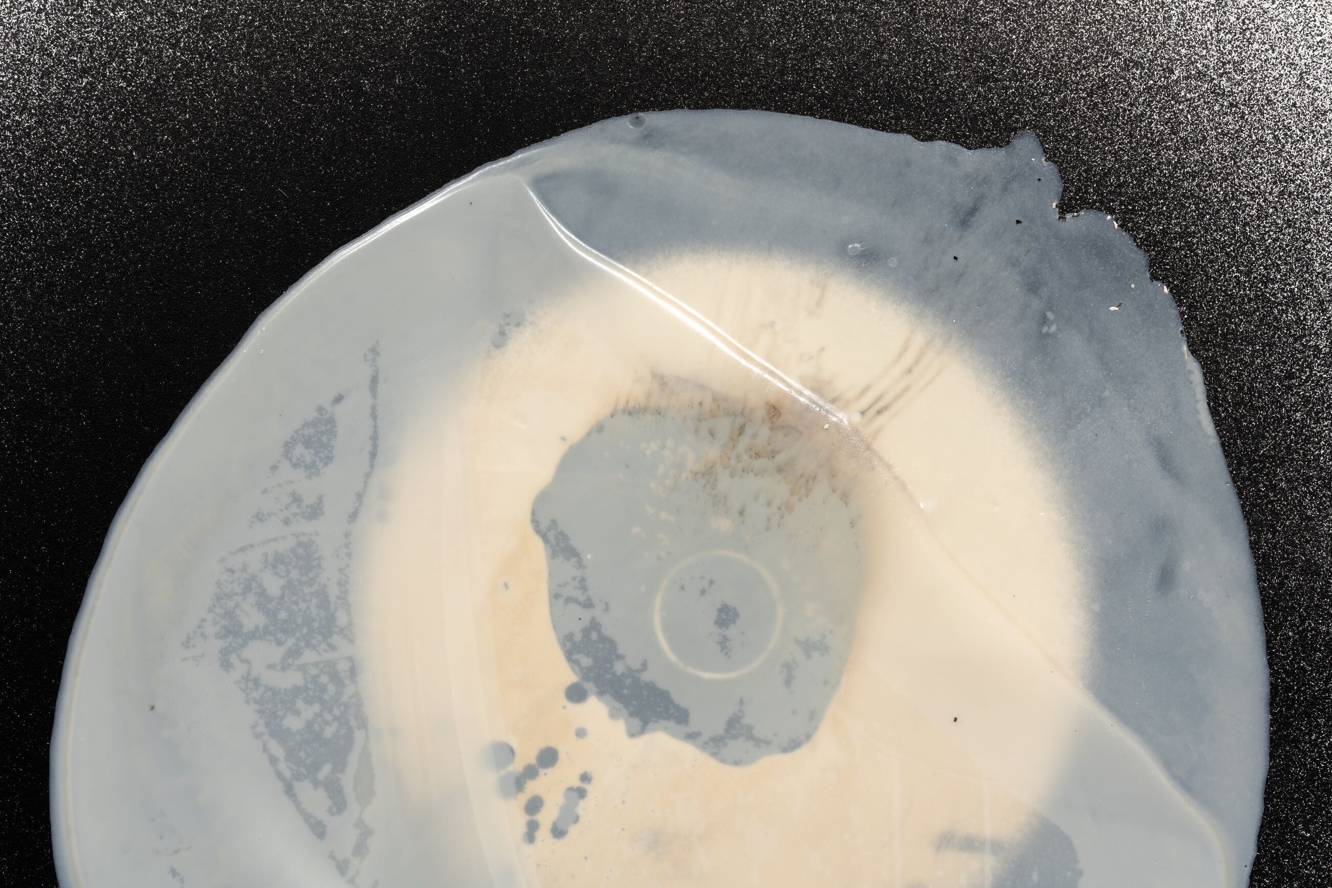 Takesada Matsutani. Shifting Boundaries