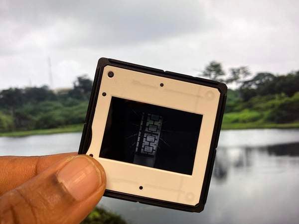 Art Now: Onyeka Igwe