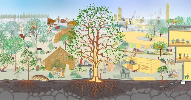 dRMM: Building from Forests