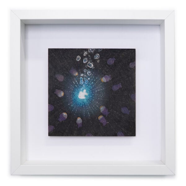 A Star Fell In The Fish Tank