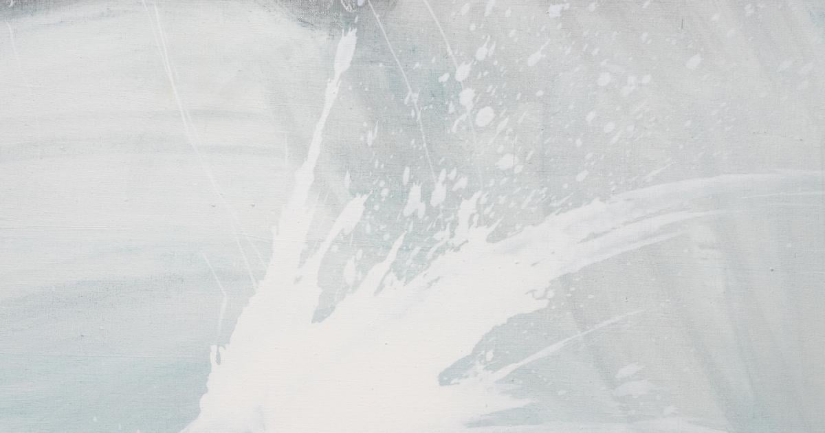 Emma McIntyre Aragonite and conchiolin