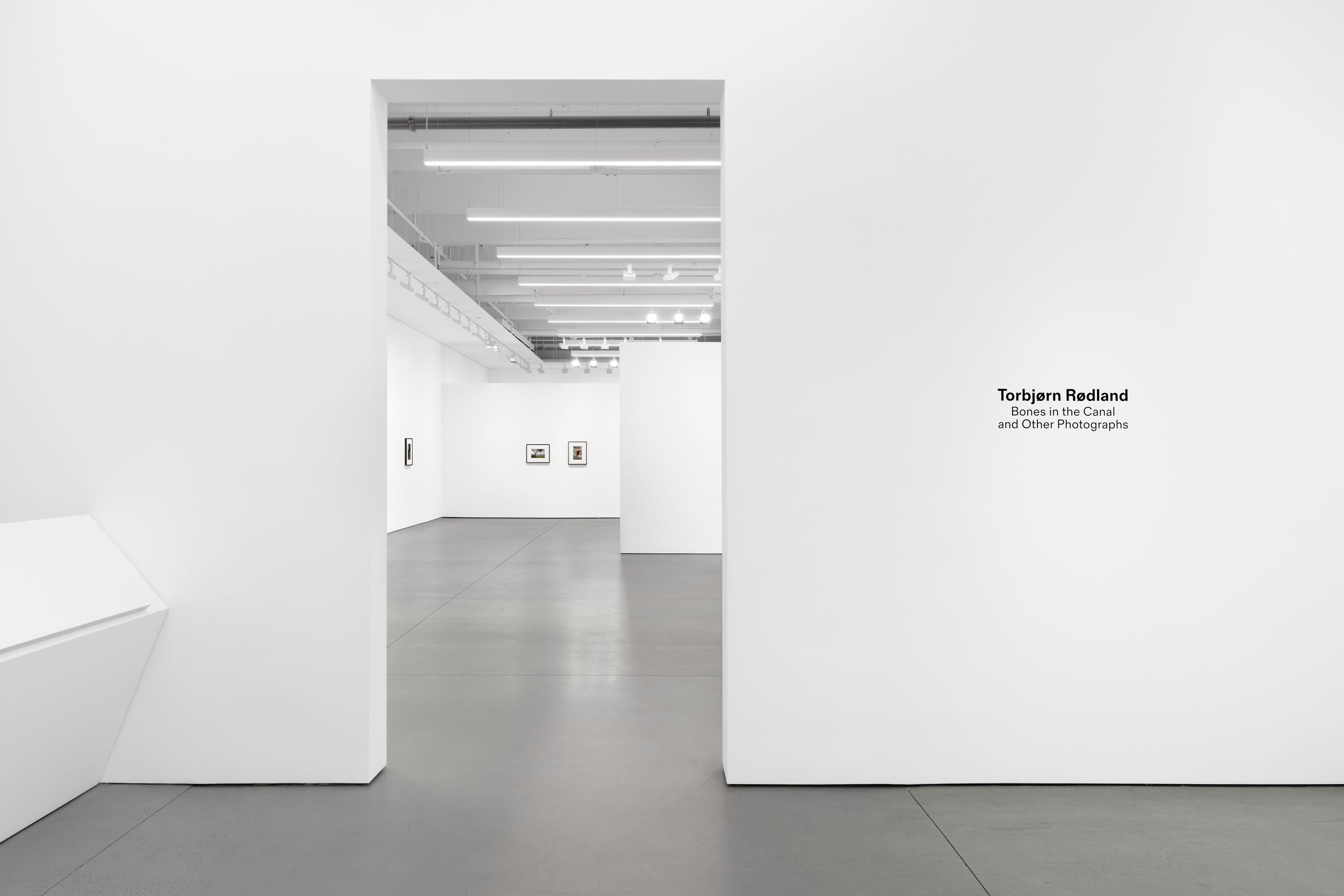 Torbjørn Rødland - Bones in the Canal and Other Photographs