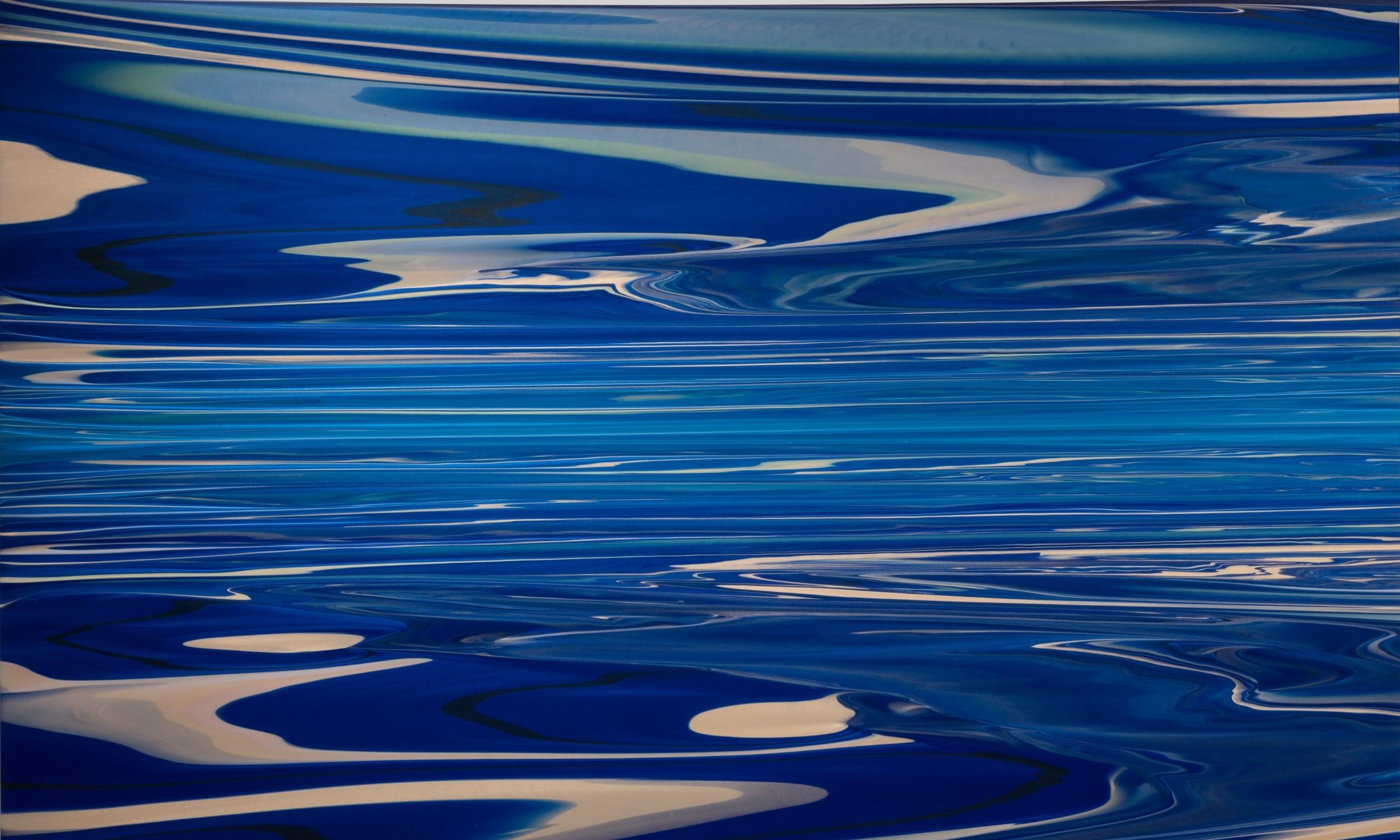 For the Record: Selections by the Collection Inventory Team