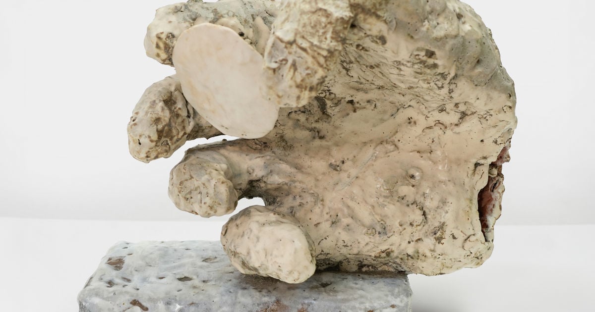 Jody Baral: Offerings