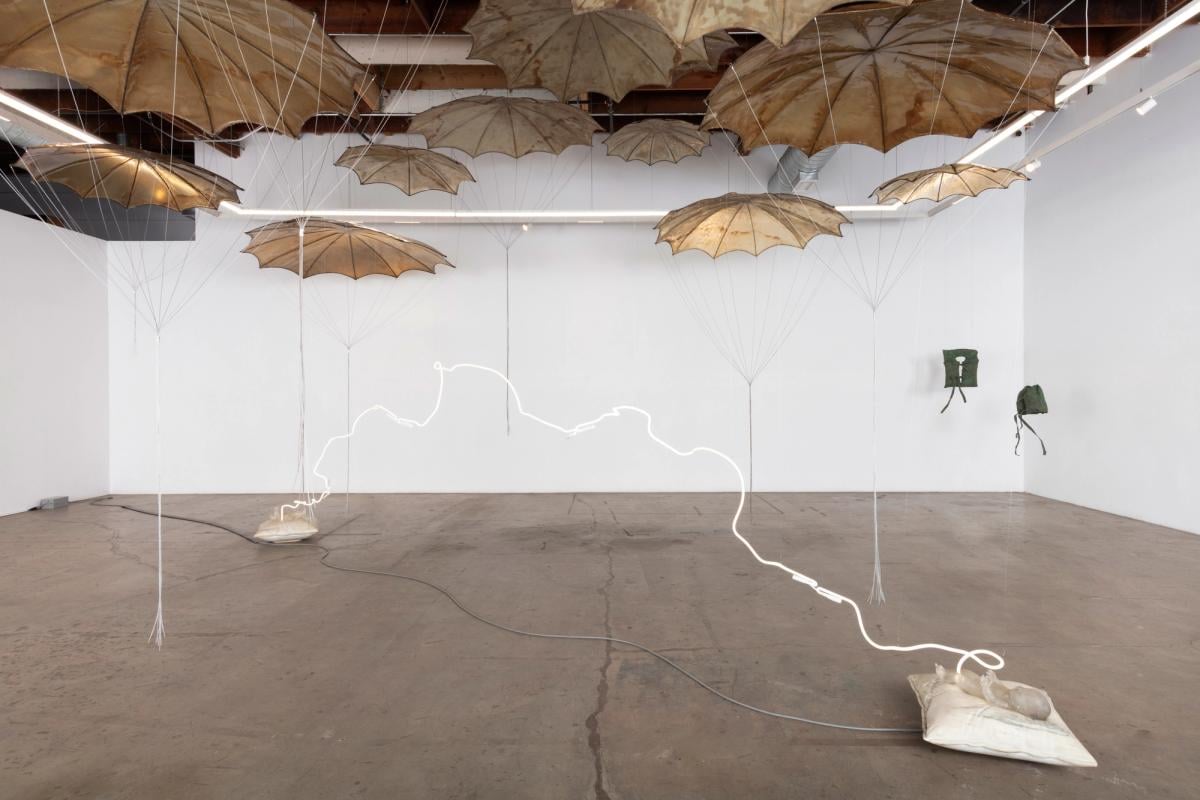 Marsha Pels Terranova Redux