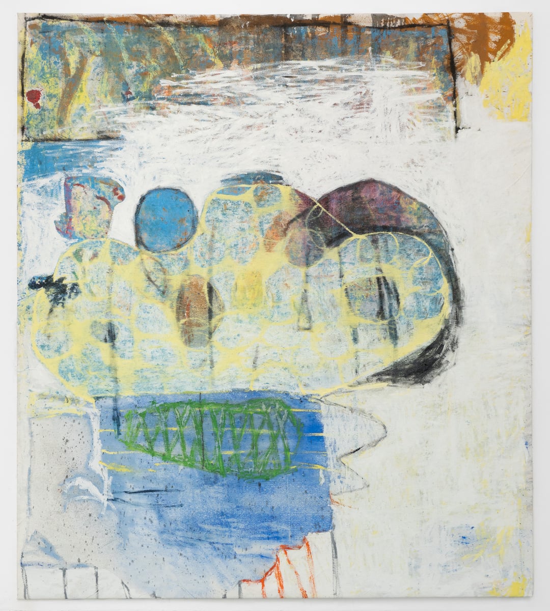 June Canedo de Souza: All top teeth knocked out at once