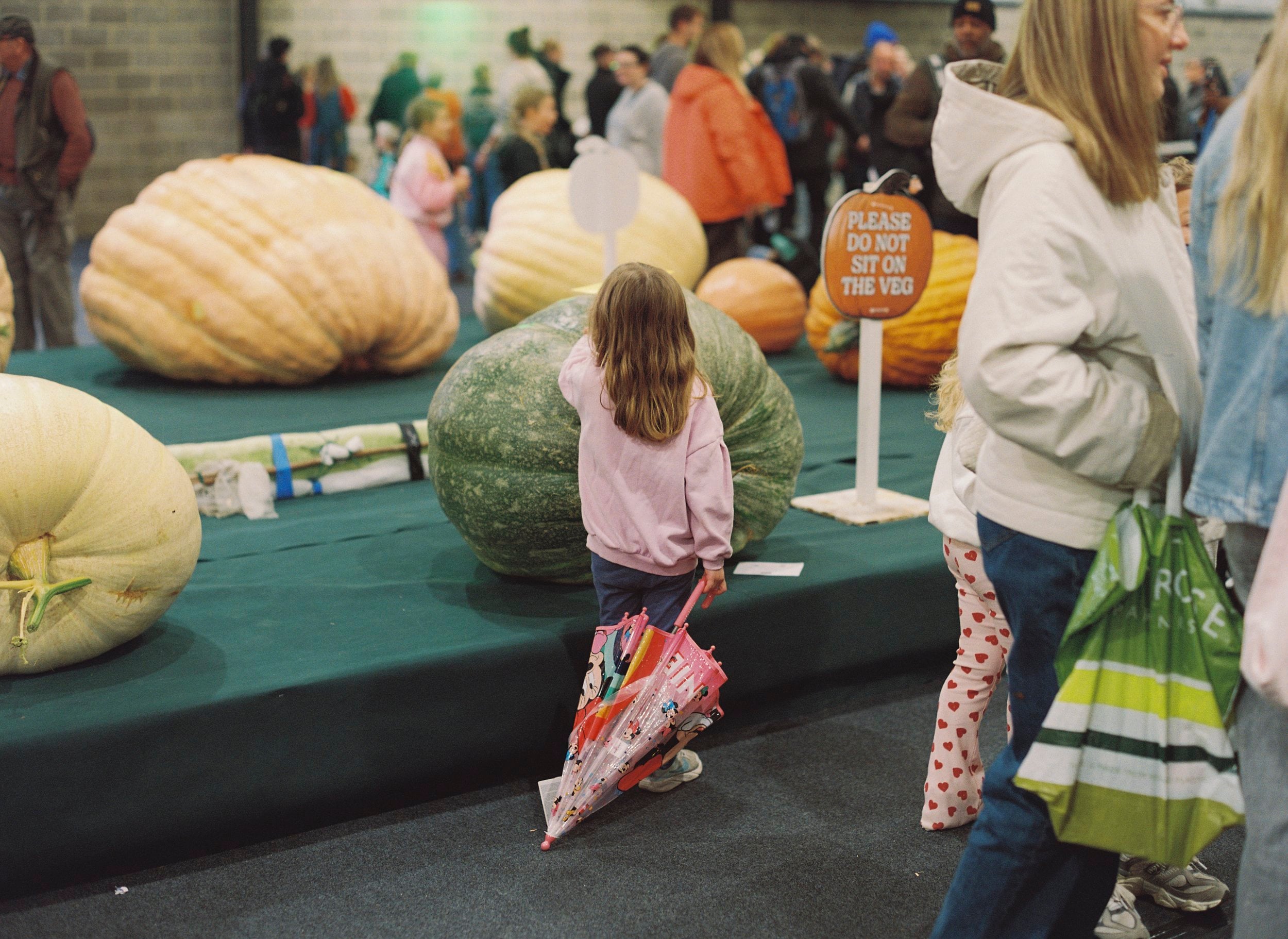 Gina Folly - MONA LISA