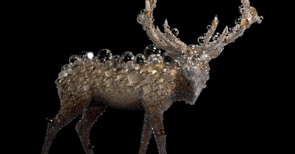 Kohei Nawa: Photon Camp