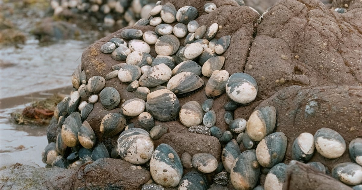 Mercedes Dorame—Deliquescence: Sites of Transformation