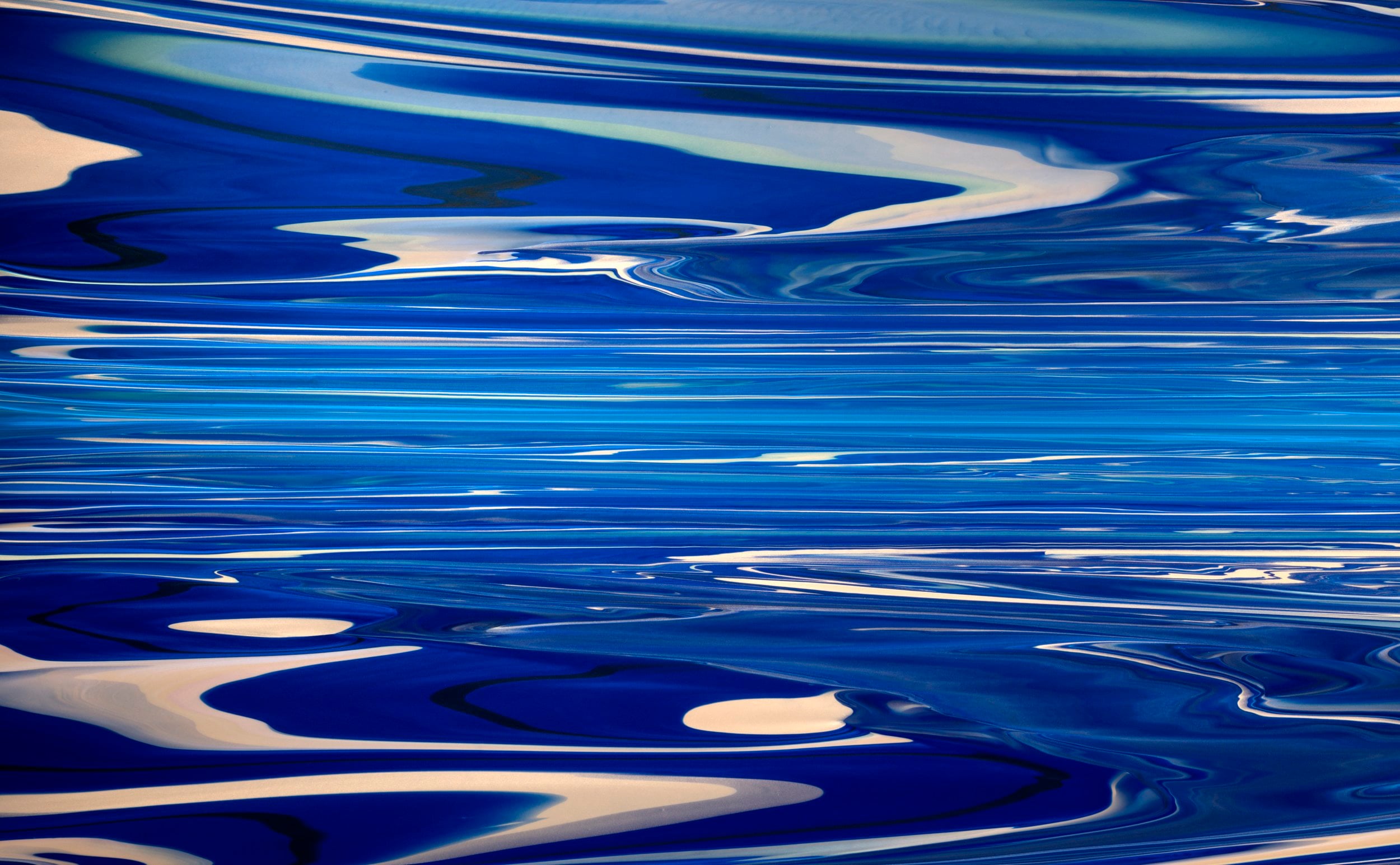 ANDY MOSES: INTO THE LIGHT