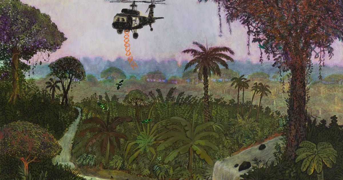 José Gamarra: Selva color del tiempo