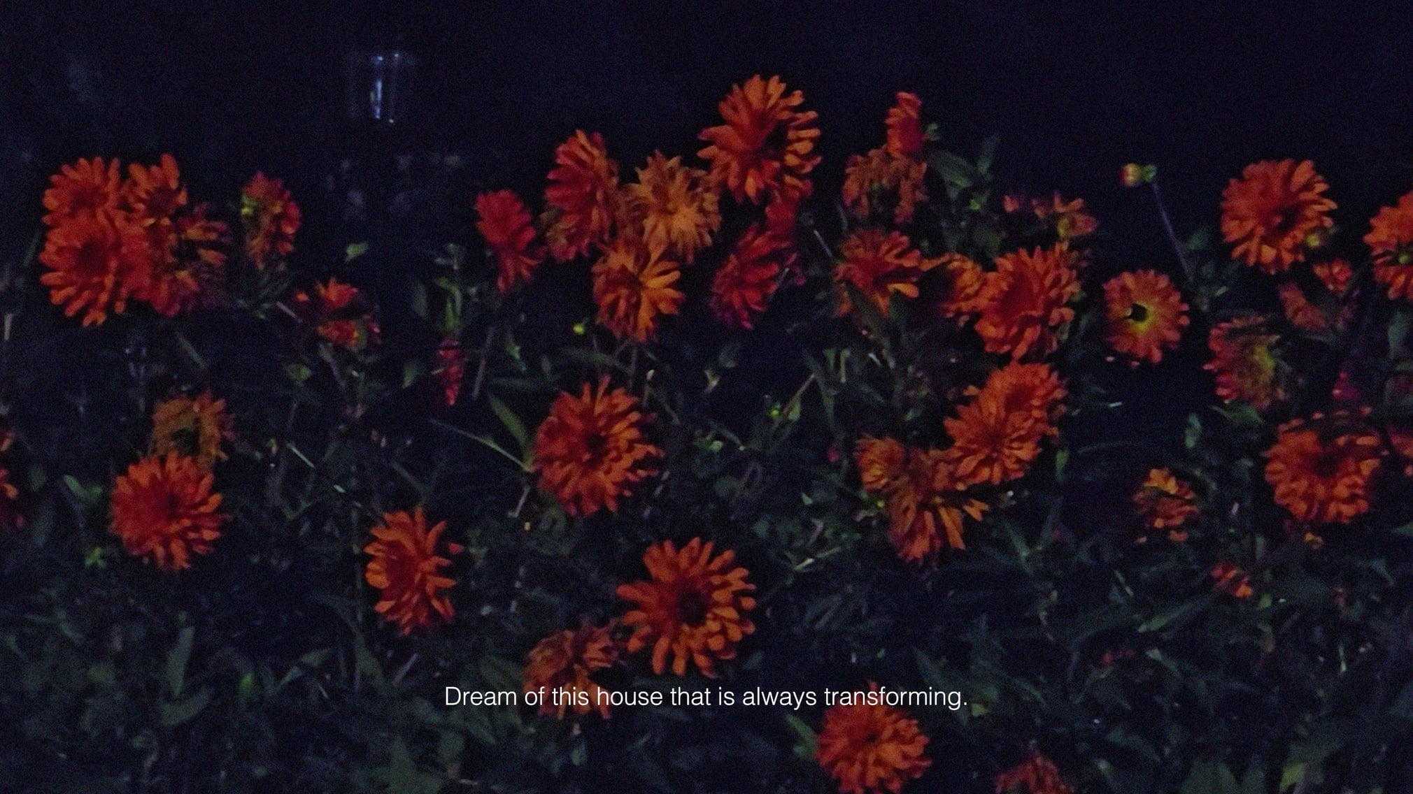 Dominique Gonzalez-Foerster Zone