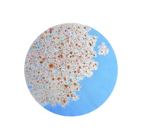 Dhara Mehrotra | Skies Beneath The Feet