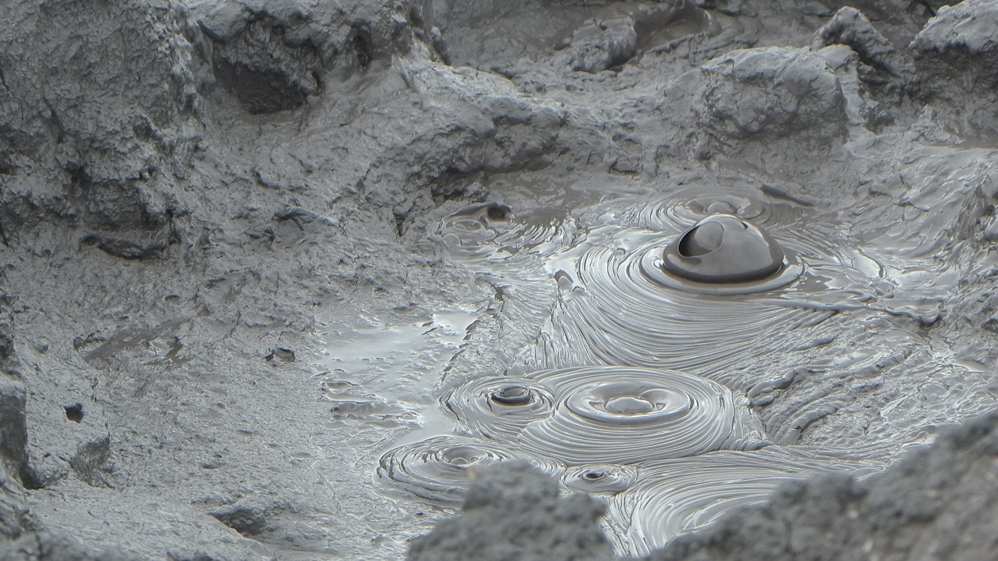 Sentient Earth