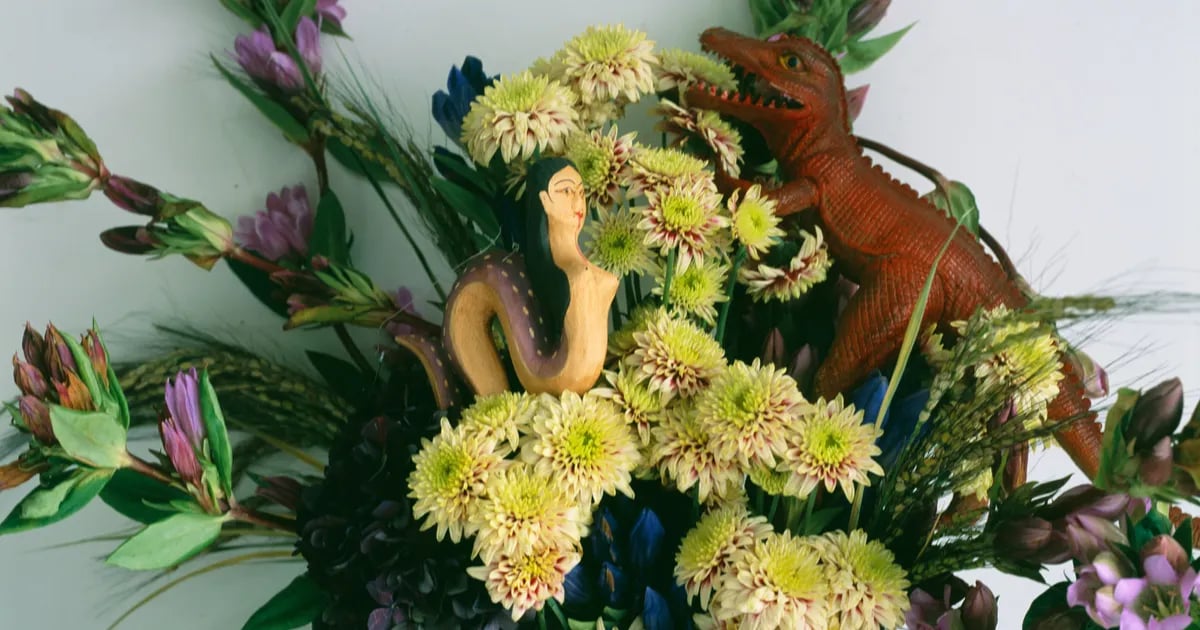 Nobuyoshi Araki and Roe Ethridge