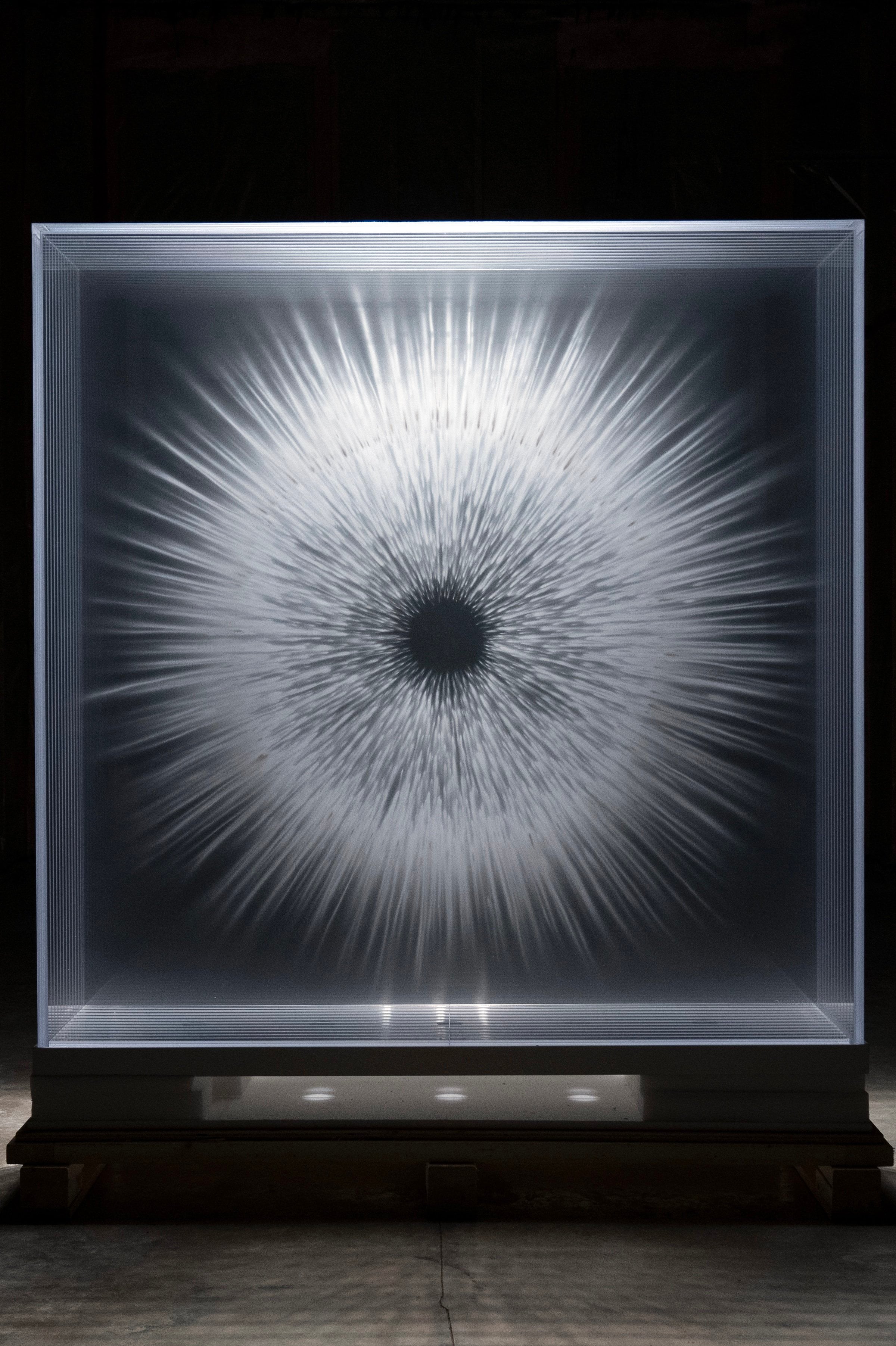 David Spriggs