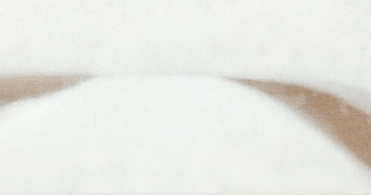 In Focus: Susan Vecsey